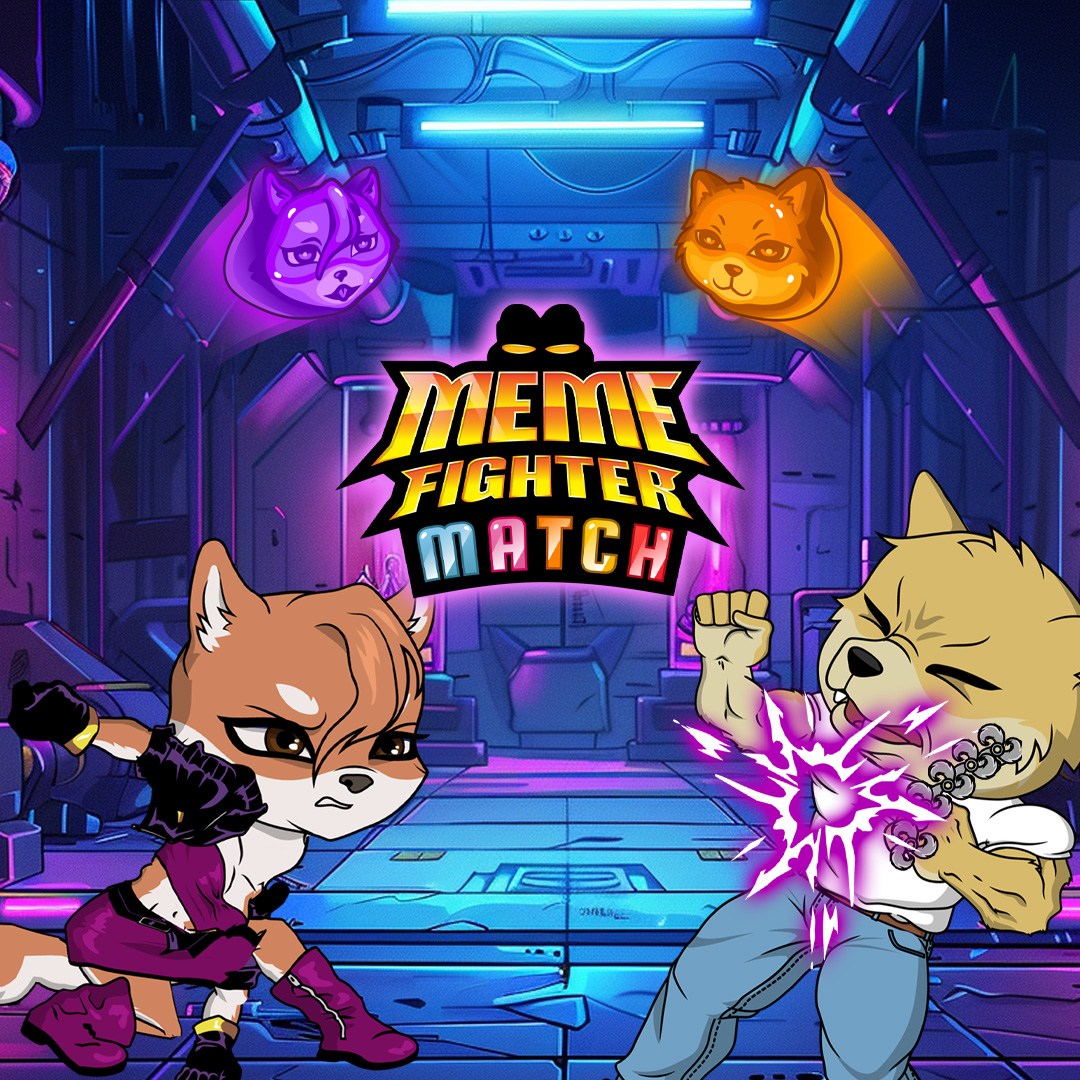 Meme Fighter Match: Feature